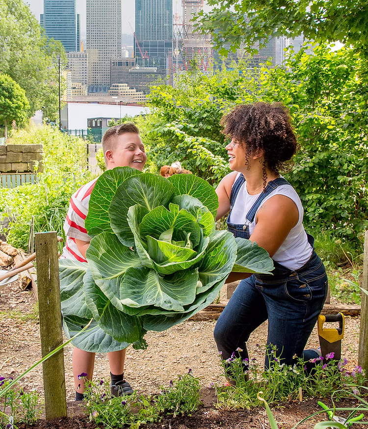 Woman helping boy harvest a giant leafy vegetable