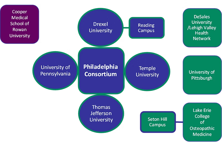 Bridging the Gaps Academic Network is made up of:<br />
Cooper Medical School of Rowan University, Philadelphia Consortium (consisting of University of Pennsylvania, Thomas Jefferson University, Temple University, and the Reading Campus of Drexel University), DeSales University/ Lehigh Valley Health Network, University of Pittsburgh, and the Seton Hill Campus of the Lake Erie College of Osteopathic Medicine
